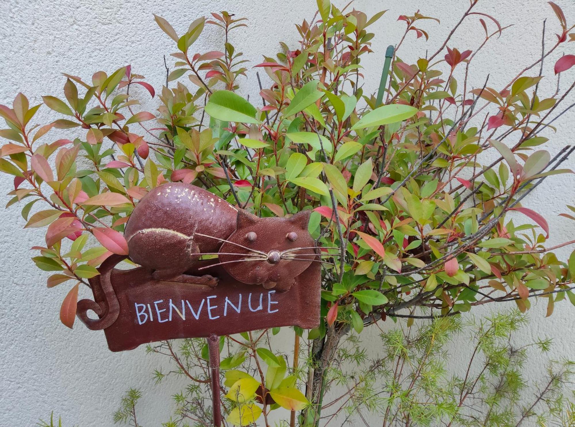 Du Cote De Chez Paule, Chambre Avec Entree Independante Et Salle D'Eau Privative Séméac Exterior foto